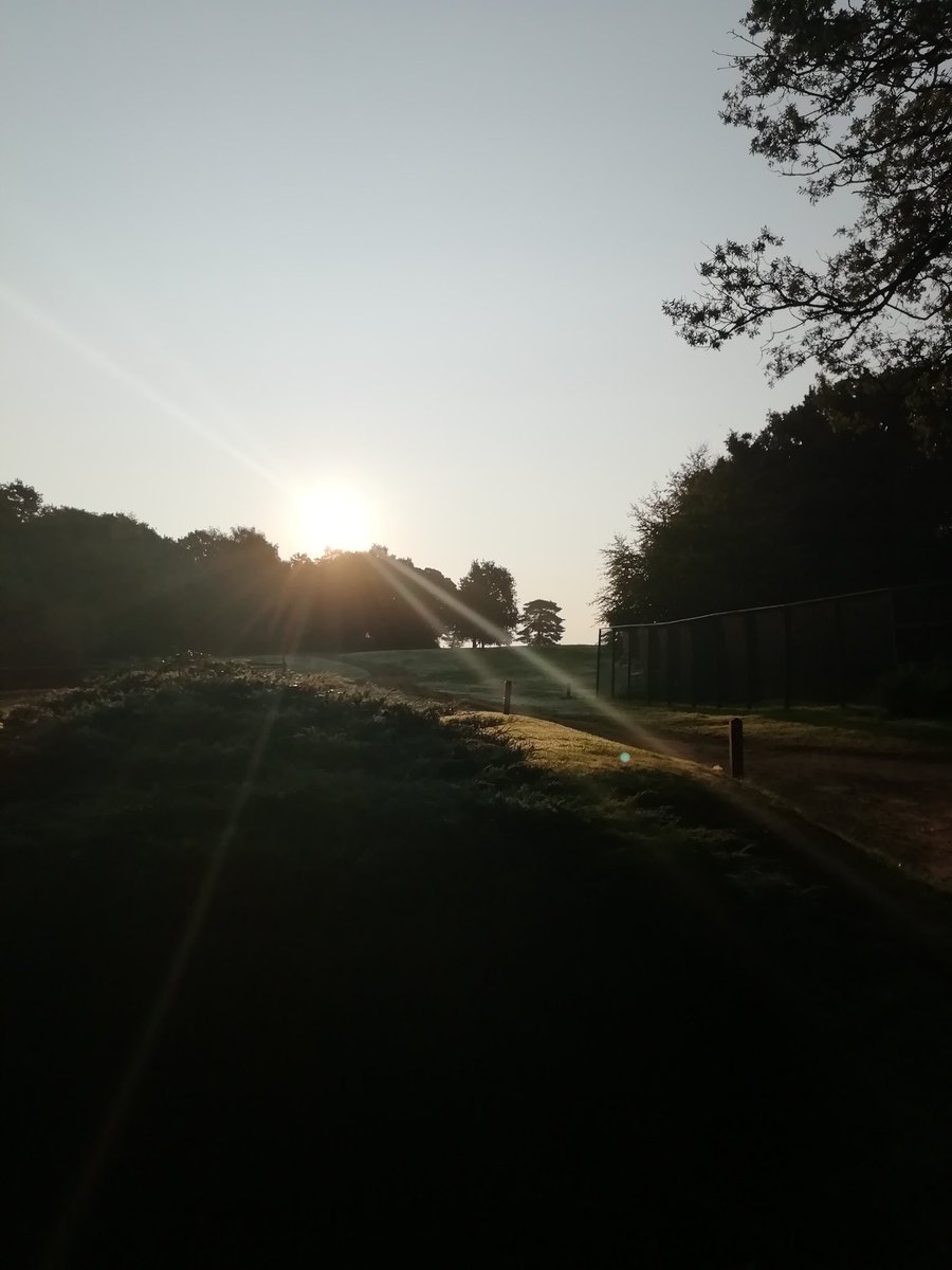 A lovely morning <a href="/puttenhamgolfcl/">Puttenham Golf Club</a> for the Senior's Day Competition our fleet of buggies are ready for action.