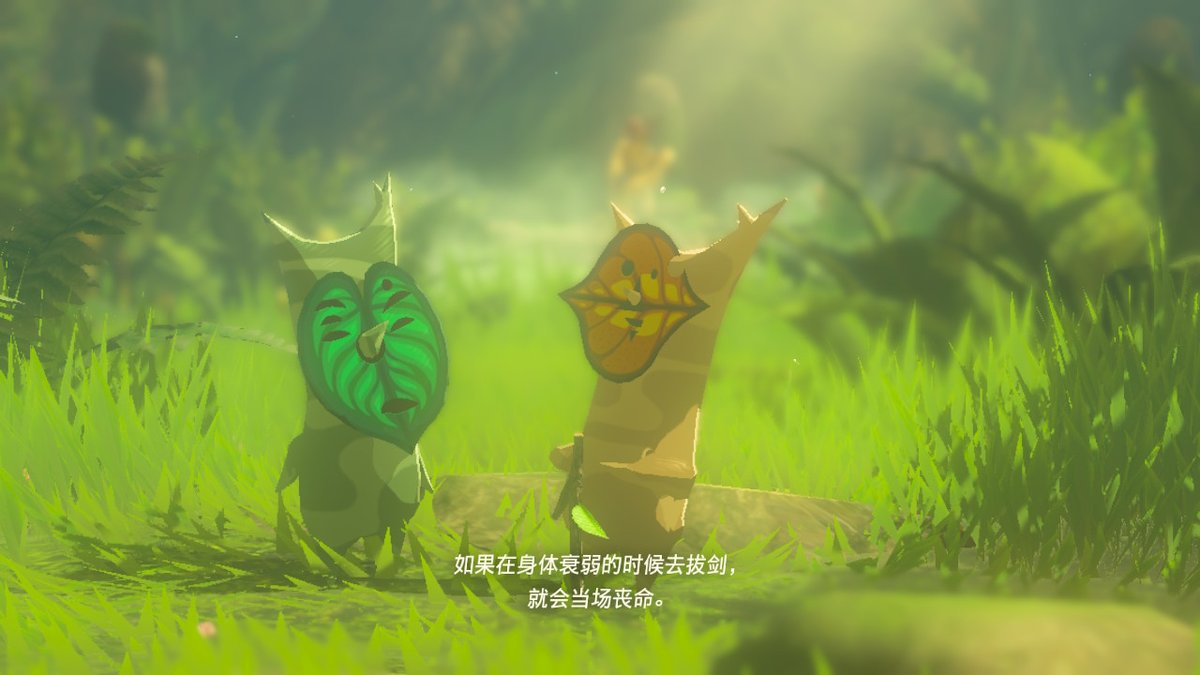 hellvgo's tweet photo. #BreathoftheWild #NintendoSwitch https://t.co/IKa2lea6yt