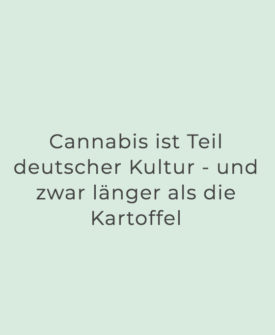 Ältester Hanffund in Deutschland war bei Eisenberg, Thüringen (ca. 5.500 v. Chr.). Die Kartoffel wurde erstmals 1647 in Deutschland angebaut, nachdem sie aus Amerika importiert wurde. #CannabisFakten #MachDichSchlau #knowledgeisflower #Cannabis #LegalizeIt cannabisfakten.de