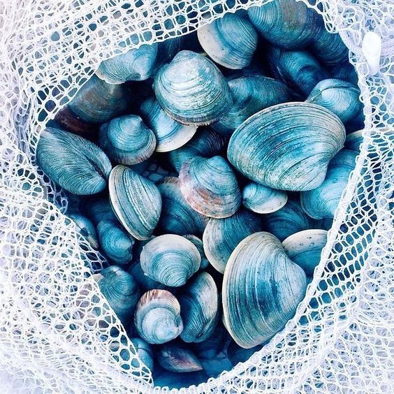 NationalMiniStorage tweet media