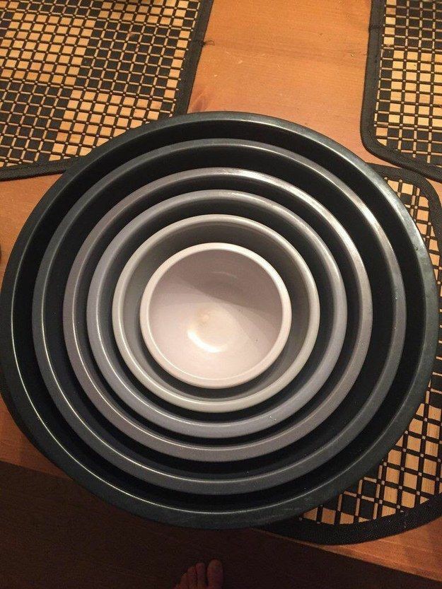 photos of perfect things that can satisfy perfectionists:                 [ a thread ]