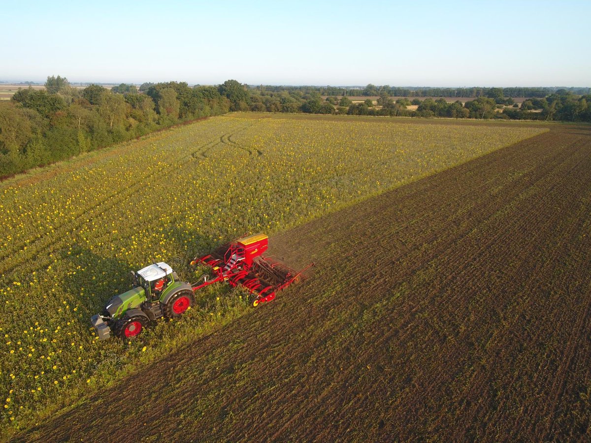 We do some cool stuff at @beeswaxfarming but this is a career highlight so far. Bazooka hybrid barley into forage rye stubble with sunflowers, buckwheat, phacelia and Black oats