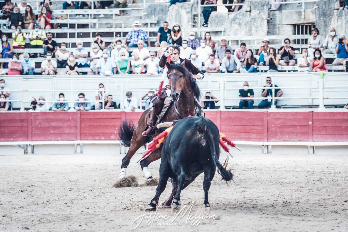 Toros | Otra vez Arles

✍️ La crónica del triunfo de <a href="/DiegoVentura82/">Diego Ventura</a> ➡️ elcigarrerodigital.es/otra-vez-arles

#LaPueblahoy #TDSProvincia