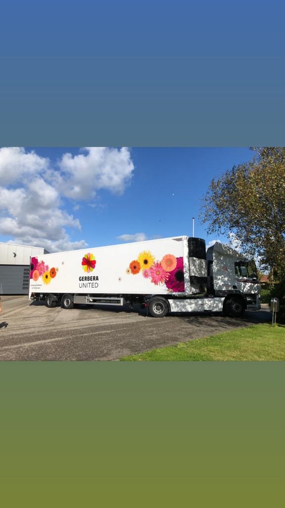 More than 48 million stems of gerberas are transported by road every year. Perhaps you have seen the truck already today.