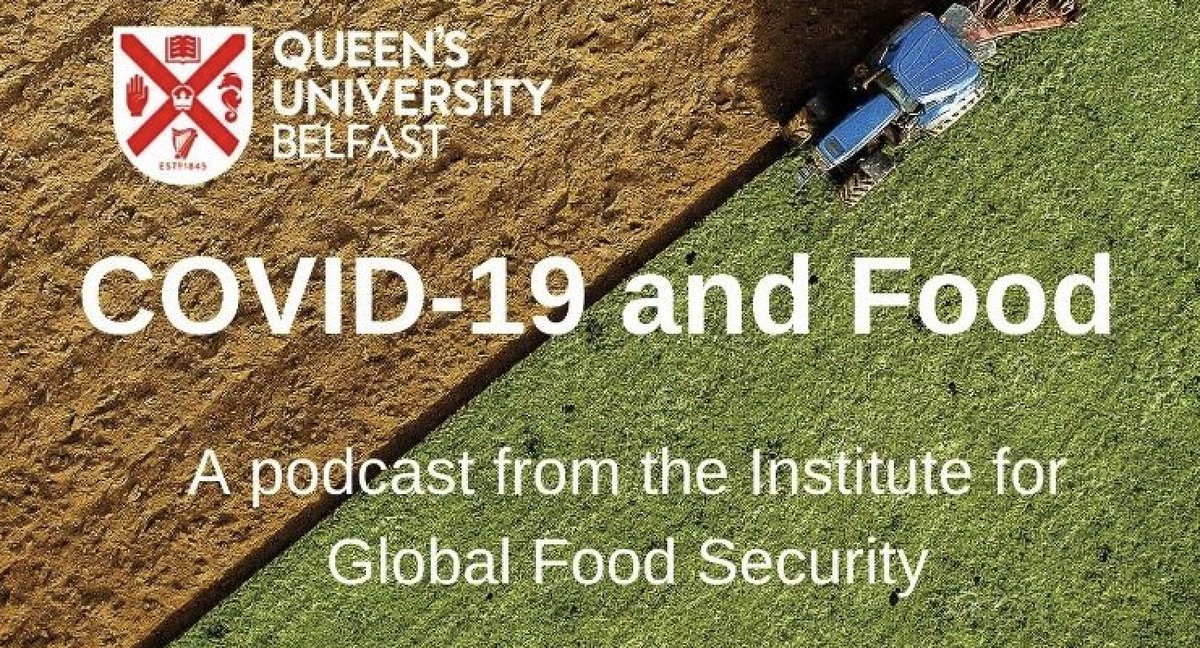 Interesting breadth of insights from colleagues across the Institute.  bit.ly/35xL9pM