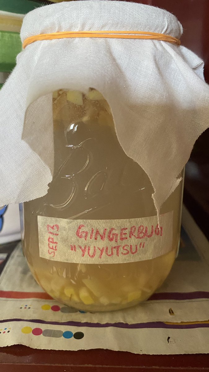 400 ml water, 20g sugar and 20g chopped ginger (with the peel). Feed sugar and ginger every 24 hours for about a week to get a Gingerbug, that is the ginger equivalent of a Sourdough starter. You can then use it to make any mildly alcoholic, carbonated beverage