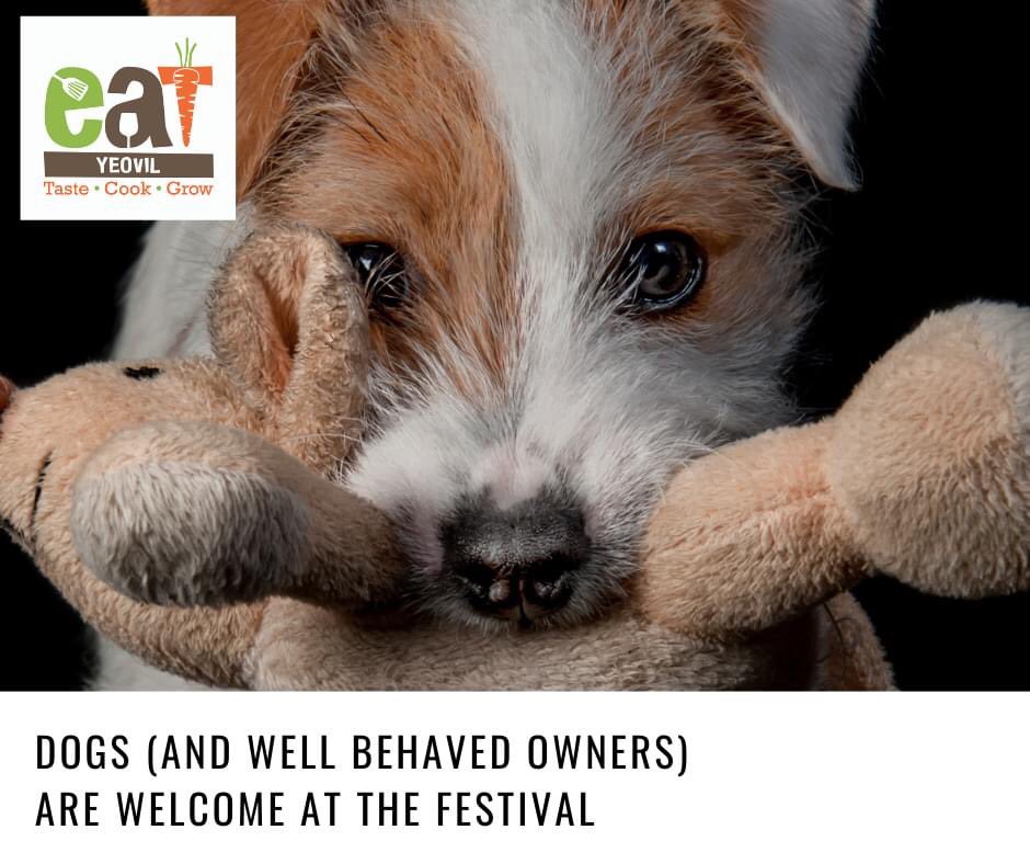 Dogs are welcome at all our #festivals #dogfriendly #dayout #yeovil #wsm #nailsea #minehead #eatfestivalsfamily