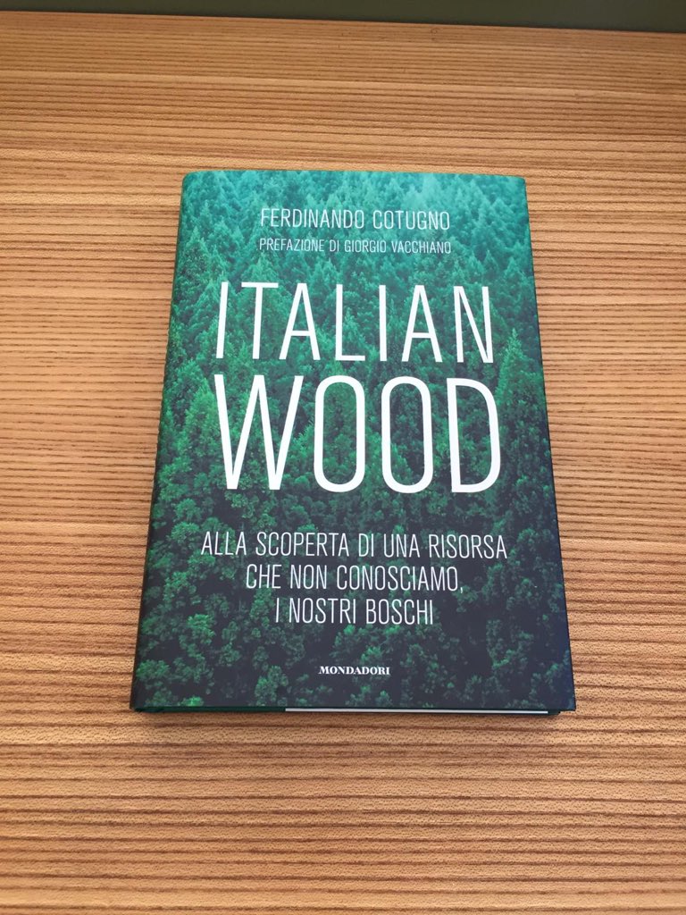 Ciao! Questo è un libro, l’ho scritto io! A parte questo irrilevante dettaglio, si intitola Italian Wood, esce per @Librimondadori e parla dei boschi italiani, del loro ritorno, di come questa sia una delle trasformazioni più importanti del territorio e della geografia in Italia.
