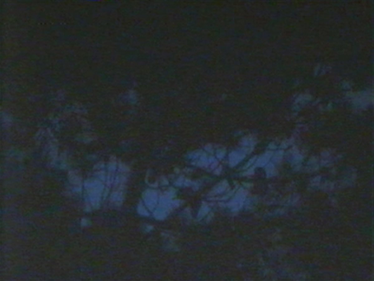 DanielAndClara's tweet photo. We've written an article about our creative process, landscape films and the impact of place on our work. It can be read on #MovingImageArtists and includes several of our short films.
Read here: https://t.co/uhPlwSR04v
#MIAJournal @movingimage_art #WalkingInCircles https://t.co/7hmk0d6WBO