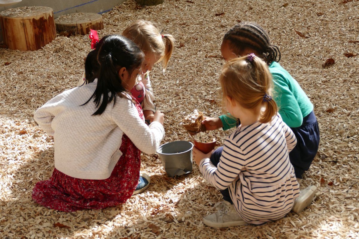 CAUE de Paris tweet media