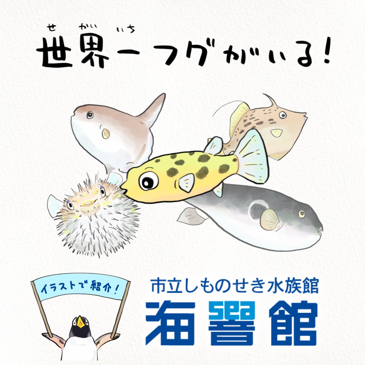 どこでもドアきっぷ夢が広がる!
久しぶりに下関の海響館で浴びるほどフグとペンギン観たいなぁ。 