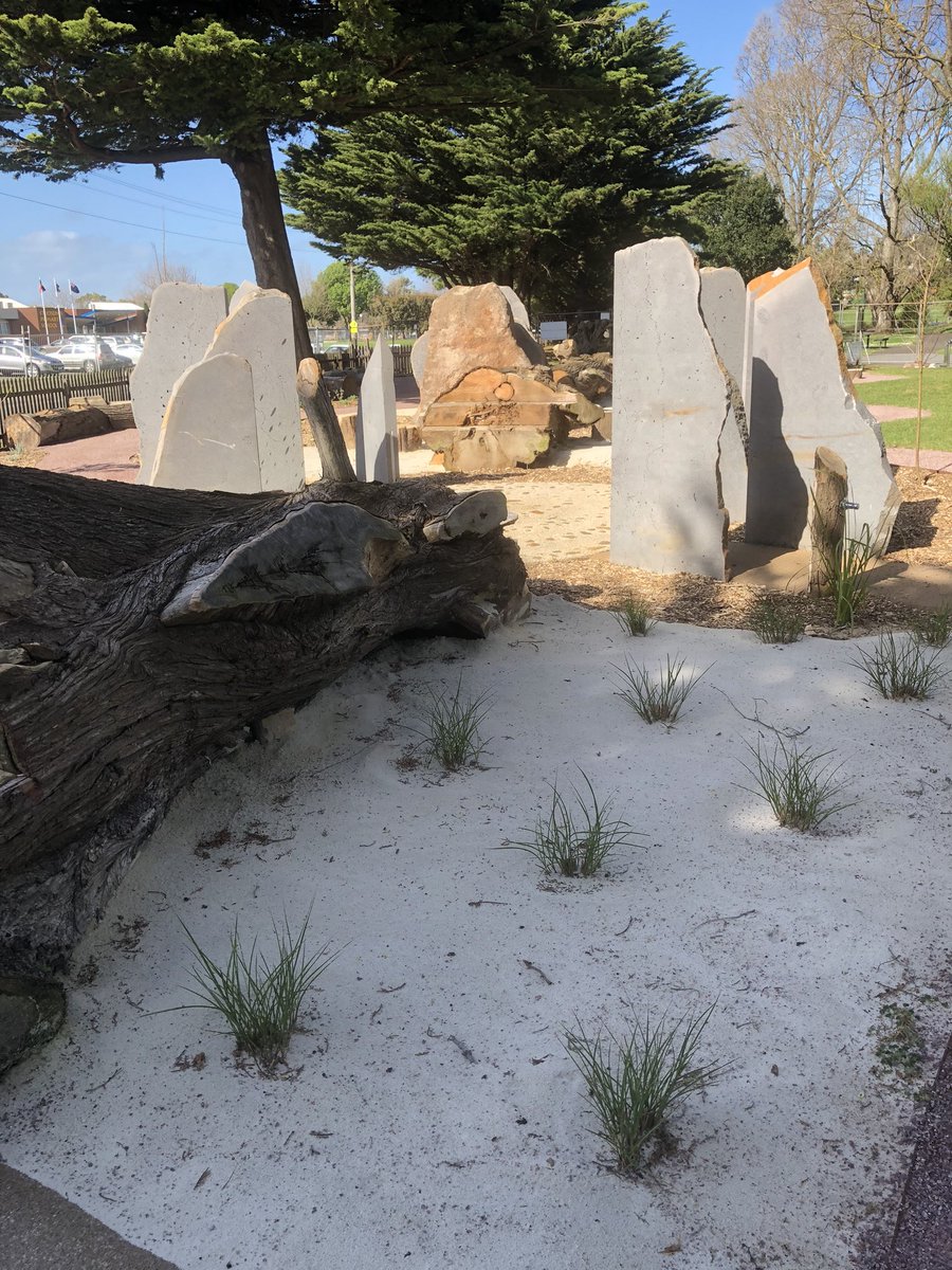 Bundogs's tweet photo. Nature Based Play Space basking in some spring sun as the plants and turf take root before the masses arrive #warrnamboolbotanicgardens #pickmyproject #laidlawandlaidlawdesign https://t.co/VOhvGu4Bw7