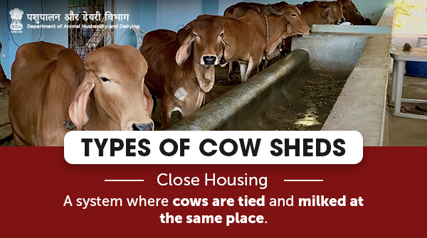 Dept of Animal Husbandry & Dairying, Min of FAH&D on Twitter: Dept of Animal Husbandry & Dairying, Min of FAH&D on Twitter: