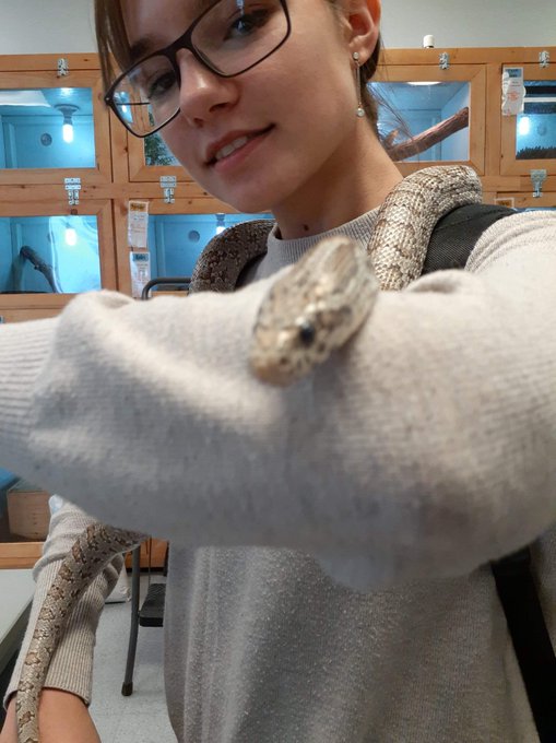I love #snakes! Got to meet one at my college and wanted to share just because 🐍🐍🤩😍 https://t.co/g94<a href="/tag/snakes"class="tags">#snakes</a>