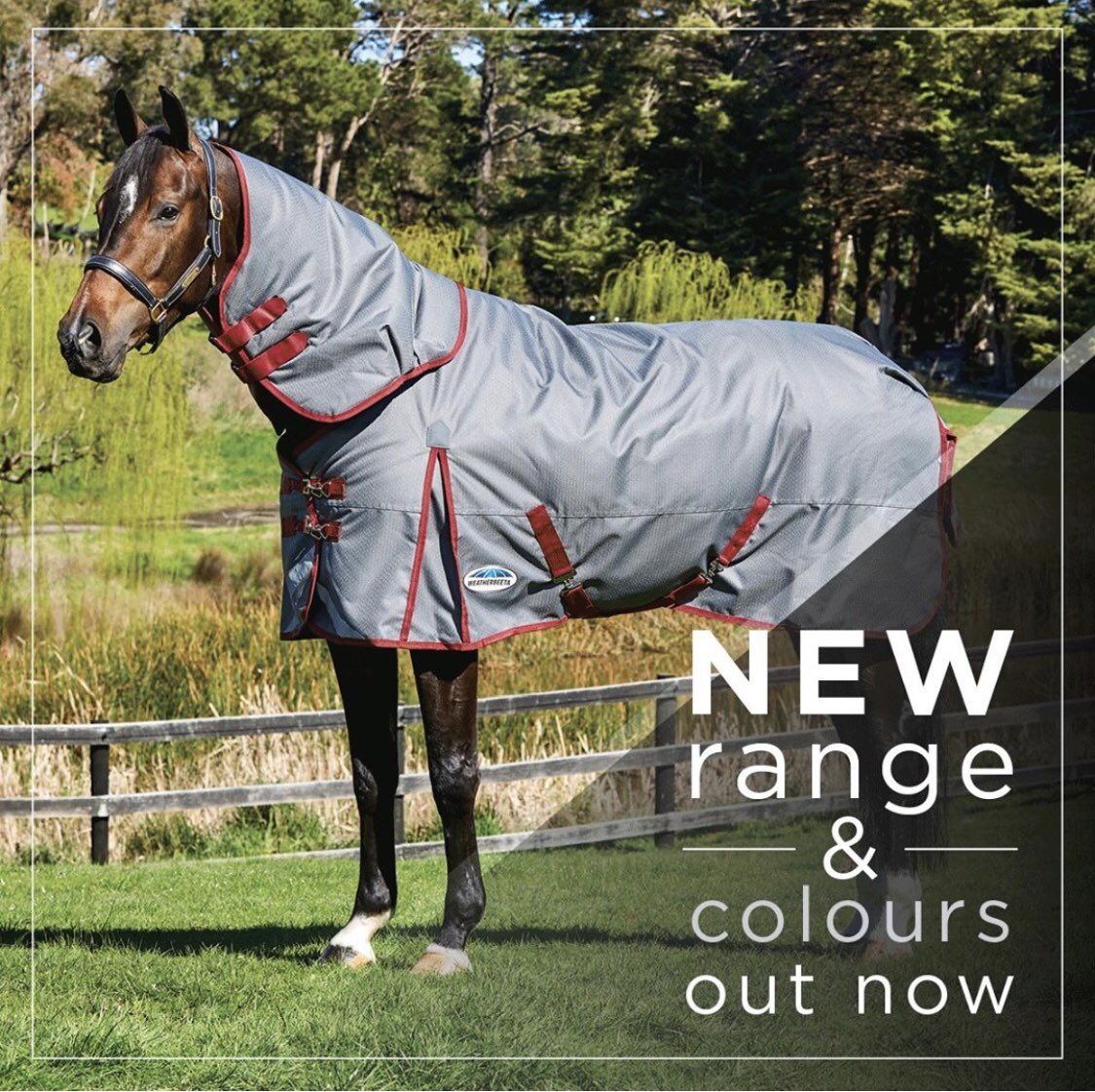SaddlemastersUK's tweet photo. ✨ The NEW Weatherbeeta AW20 range is live on our website now! Check out the full collection over at: https://t.co/RPW8Hm6DMx ✨#horserugs #turnoutrugs #equestrian #weatherbeeta https://t.co/O6O1LuAwzW