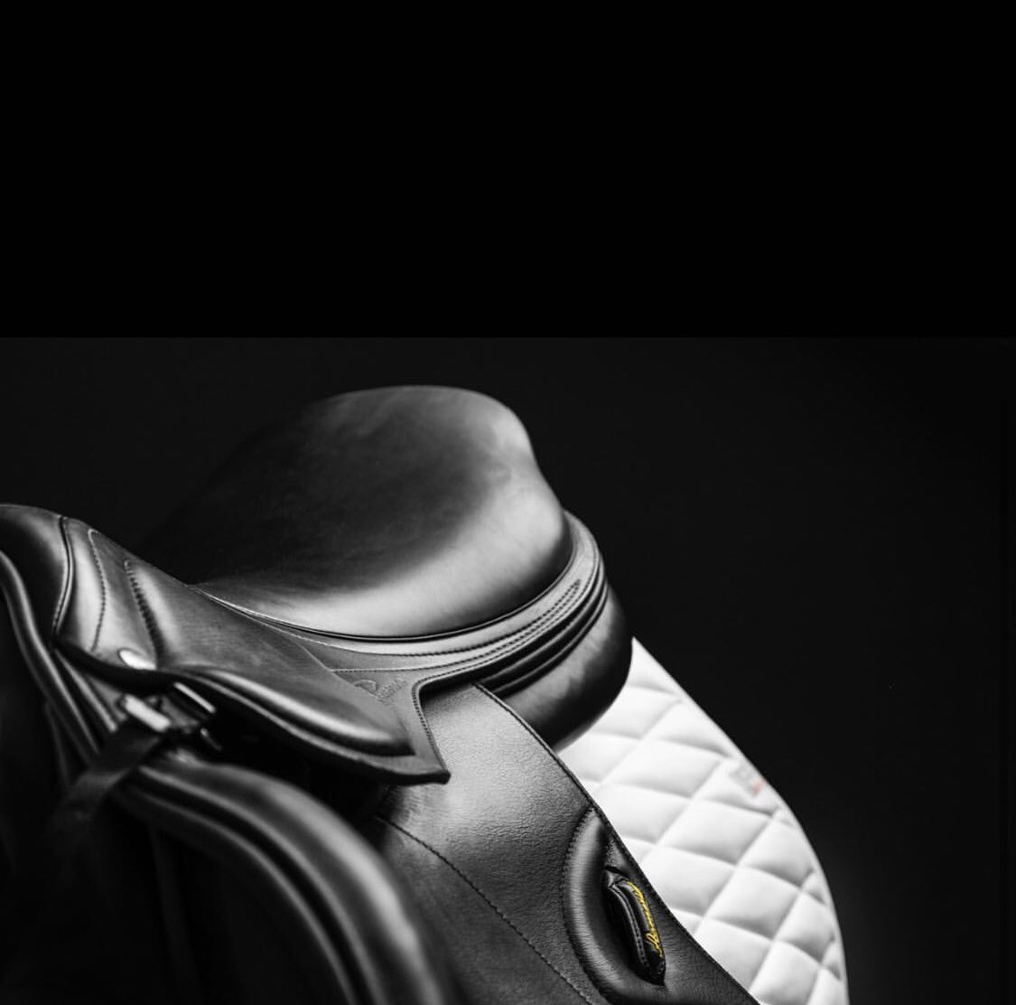 SaddlemastersUK's tweet photo. #Saddlefitting and checking service, we come to you. We recommend saddle fitting is done at your premises so your horse is not subjected to having to travel. We want your horse to be as relaxed as possible and so their usual surroundings are preferred. Contact us for more info! https://t.co/FbbPs5aT9A