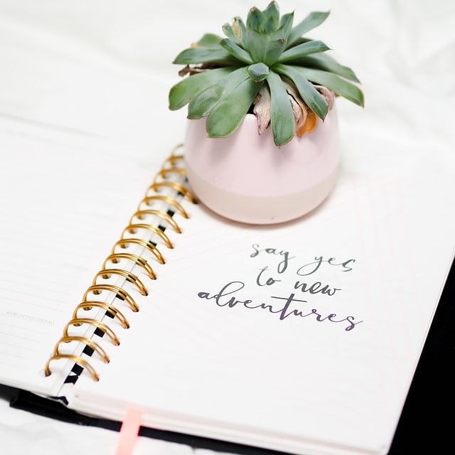 𝐒𝐭𝐚𝐫𝐭 𝐌𝐨𝐧𝐝𝐚𝐲 𝐰𝐢𝐭𝐡 𝐩𝐨𝐬𝐢𝐭𝐢𝐯𝐞 𝐯𝐢𝐛𝐞𝐬. 𝐰𝐰𝐰.𝐦𝐲𝐬𝐭𝐮𝐝𝐞𝐧𝐭𝐬𝐡𝐨𝐩.𝐜𝐨.𝐮𝐤
#Freshers2020 #studentaccommodation #internationalstudents #StudyinUK #universityaccomodation