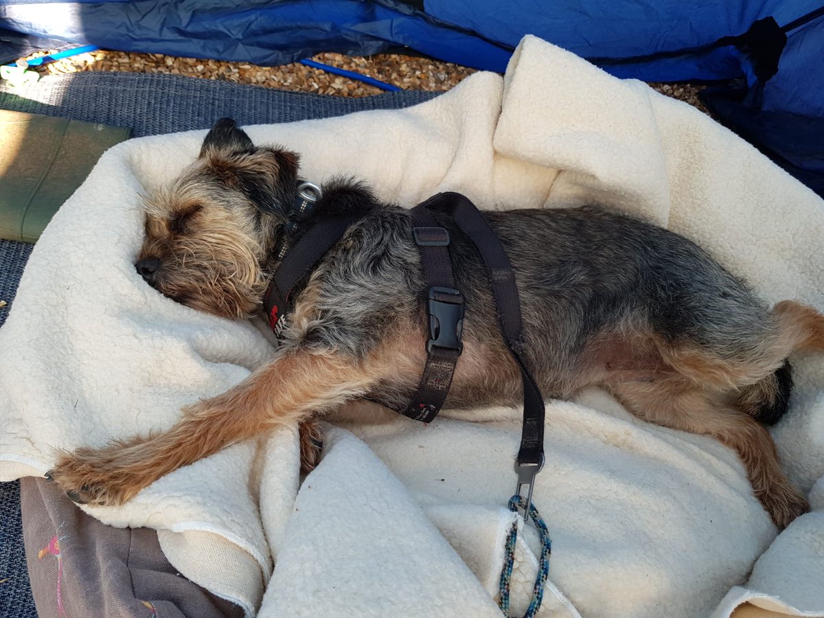 mulberrybt's tweet photo. It's gone 0930 and I'm still in bed. Theis #TeamTrailer stuff is hard work. #BTposse https://t.co/Ucoh8Hm95h
