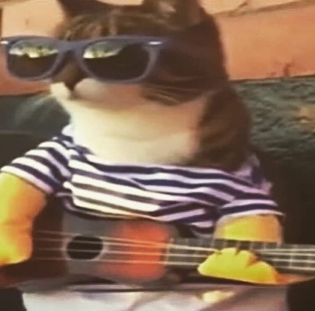 kristascat's tweet photo. https://t.co/WotYDrDgtD