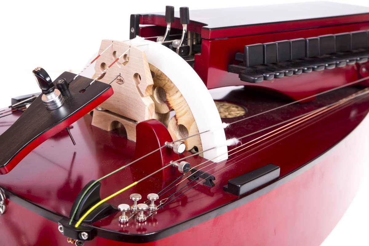 Colorín , colorado...#zanfona #vielleàroue #hurdygurdy #carlosdoviso #galiza