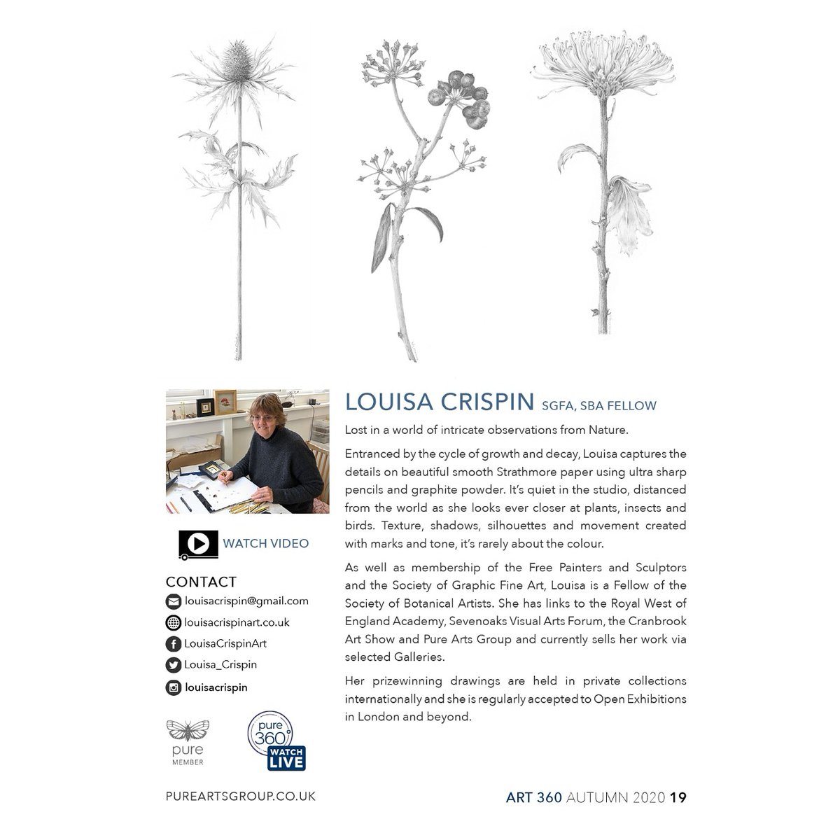 Louisa_Crispin's tweet photo. My page from the @pureartsgroup #pureart360 
.
The #pureart360live talks continue daily throughout September and I will be talking on THURSDAY 17th via #crowdcast and #facebooklive
.
More information via @pureartsgroup 
.
#artiststalks #pureartsgroup #purepresents #drawingnature https://t.co/kXxkalS1Ag