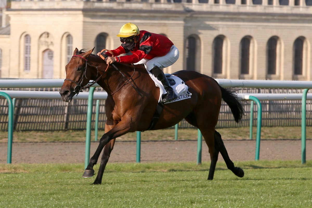 MarineVVL's tweet photo. ✨La 👑, la crack, l'extraterrestre #Genmoss est très bien rentrée d'après son mentor. Elle n'a rien perdu ...
Suite de son programme :
➡️Jean Laborde à Tarbes (PMH) le 25/10
➡️Gd National des #anglo à Toulouse le 11/11 pour la der des der... https://t.co/Vl6KQADMfH