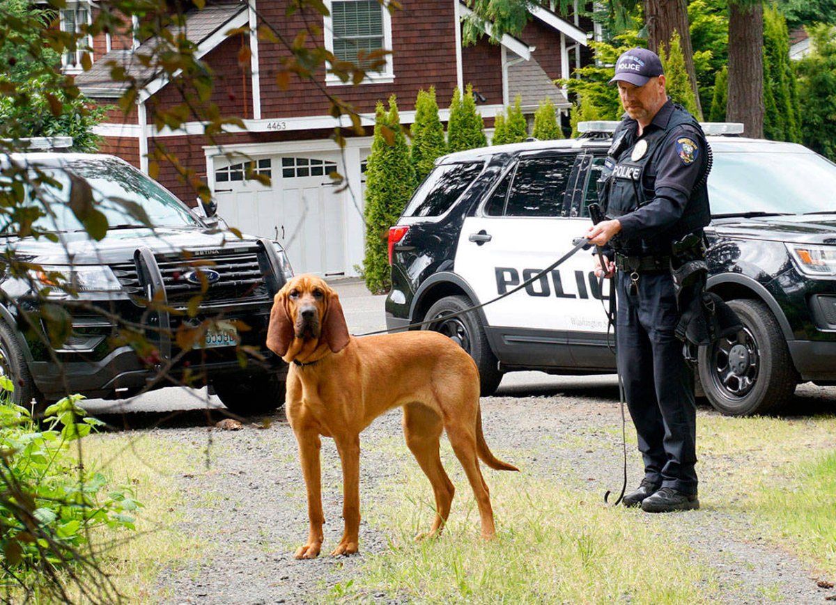 Kurt Enget, 49, the city’s K-9 officer and five-year veteran of the Bainbridge Island  #Washington Police Department died from  #COVID.  #TrumpKnewTheyDidnt https://www.bainbridgereview.com/news/former-bainbridge-police-chief-officer-enget-kurt-was-willing-to-do-whatever-was-asked-of-him-and-more/