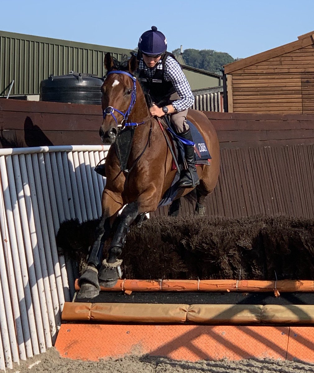 Paul Nicholls OBE tweet media