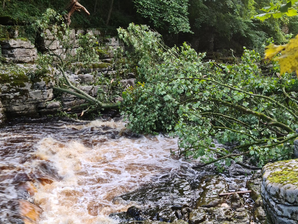 paddle_uk's tweet photo. 📢IMPORTANT NOTICE ABOUT ABBEY RAPIDS 📢 

Please be aware there is currently a tree across Abbey Rapids preventing paddling. We have made contact with the Mortham Estate who maintain the area and will update once the tree has been removed. Please share with fellow paddlers. https://t.co/bXBgkeWDIn