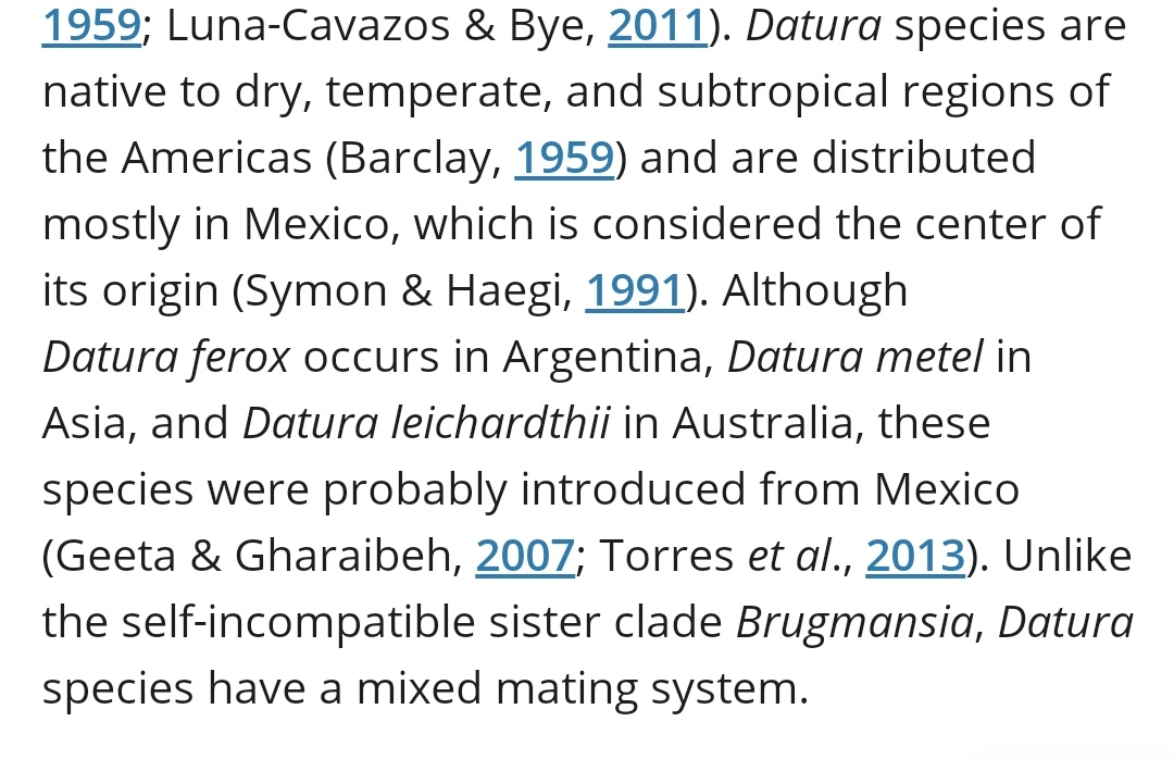 5/63Not sure when well before 200 AD, the plant made its way into India, possibly via traders. That's when Suśruta recorded it as a wonderdrug in probably the earliest medical treatise on the subcontinent.He called it Datura. http://lib.unipune.ac.in:8080/xmlui/bitstream/handle/123456789/2275/08_chapter%202.pdf?sequence=8&isAllowed=y https://nph.onlinelibrary.wiley.com/doi/full/10.1111/nph.13300