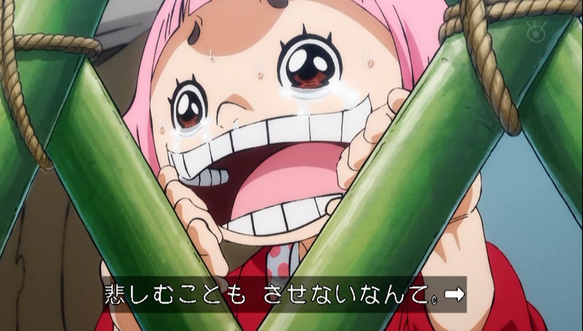 嘲笑のひよこ すすき Auf Twitter 日和 ここは 地獄以外の何ですか ゾロ十郎さん ワンピース Onepiece ワノ国編 アニワン