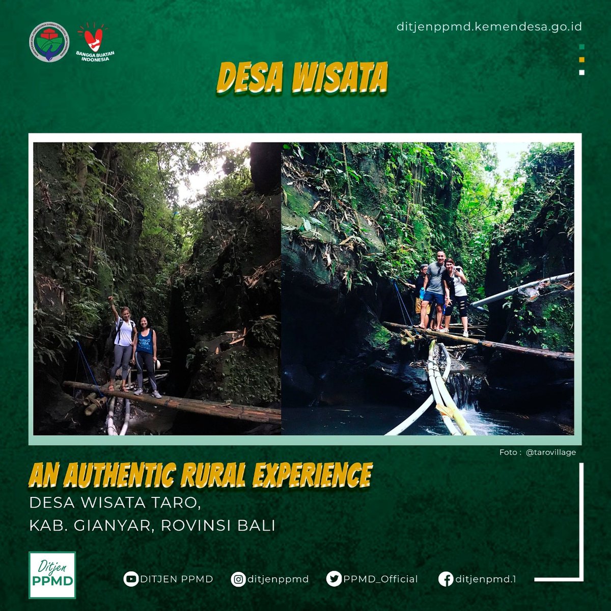 ditjenpdp's tweet photo. #SobatDesa simak yuk ulasan tentang destinasi #DesaWisata Taro, Kab. Gianyar Prov. Bali. Desa Wisata Taro berjarak 40 km dari Kota DEnpasar, dimana lokasi Desa Taro menjadi bagian dari Kawasan Munduk Gunung Lebah. Desa Wisasta Taro merupakan Desa Wisata tertua di Pulau Bali. https://t.co/PgLL1teJ79