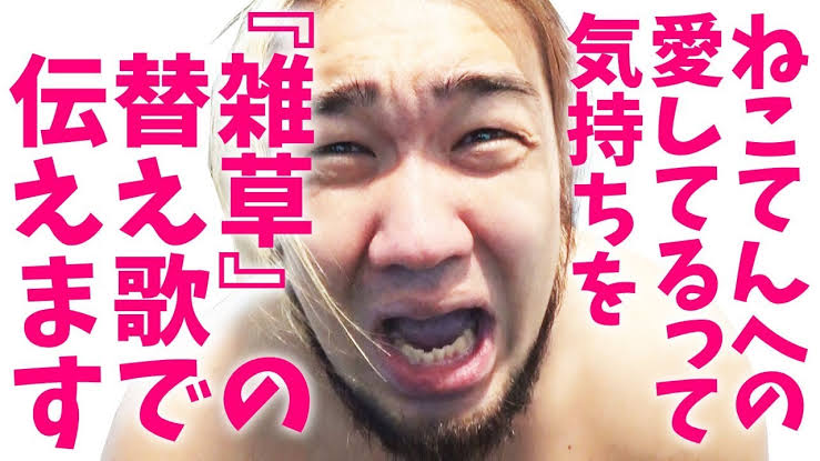 へライザーの鼻の加工はねこてん てことーかわいちょの意味とは オール3バズーカ 凡人でも人生楽しく生きる