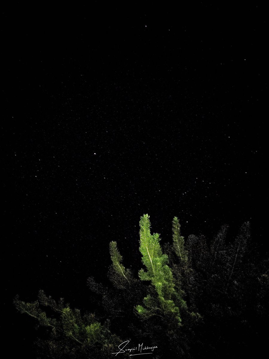NotTheCarGuy's tweet photo. @oneplus Shot this handled on on OnePlus 7 Pro.
#ShotOnOnePlus https://t.co/g45TuEh4Wt