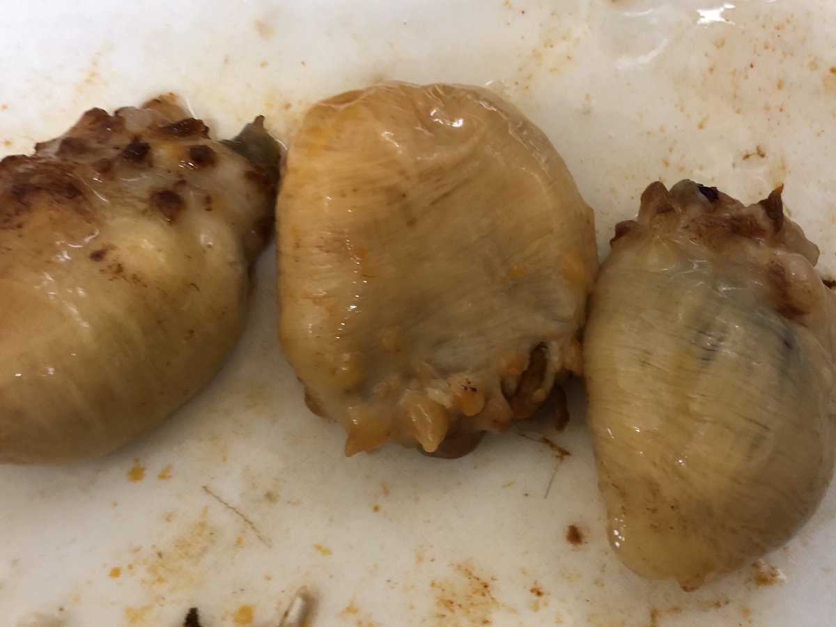 shimashima0ft's tweet photo. オキライサマー@okiraisummer様からホヤのプレゼントを頂きました。

大分県で岩手県のホヤを食べられるとは😃感謝感激です。

初めてホヤを捌きました😅思ったより殻が堅かった。

味は鮮度抜群で美味しい❗️東北三陸パワーに元気をもらいました。

#ホヤ
#大船渡
#越喜来 https://t.co/HD6YaiyDtM