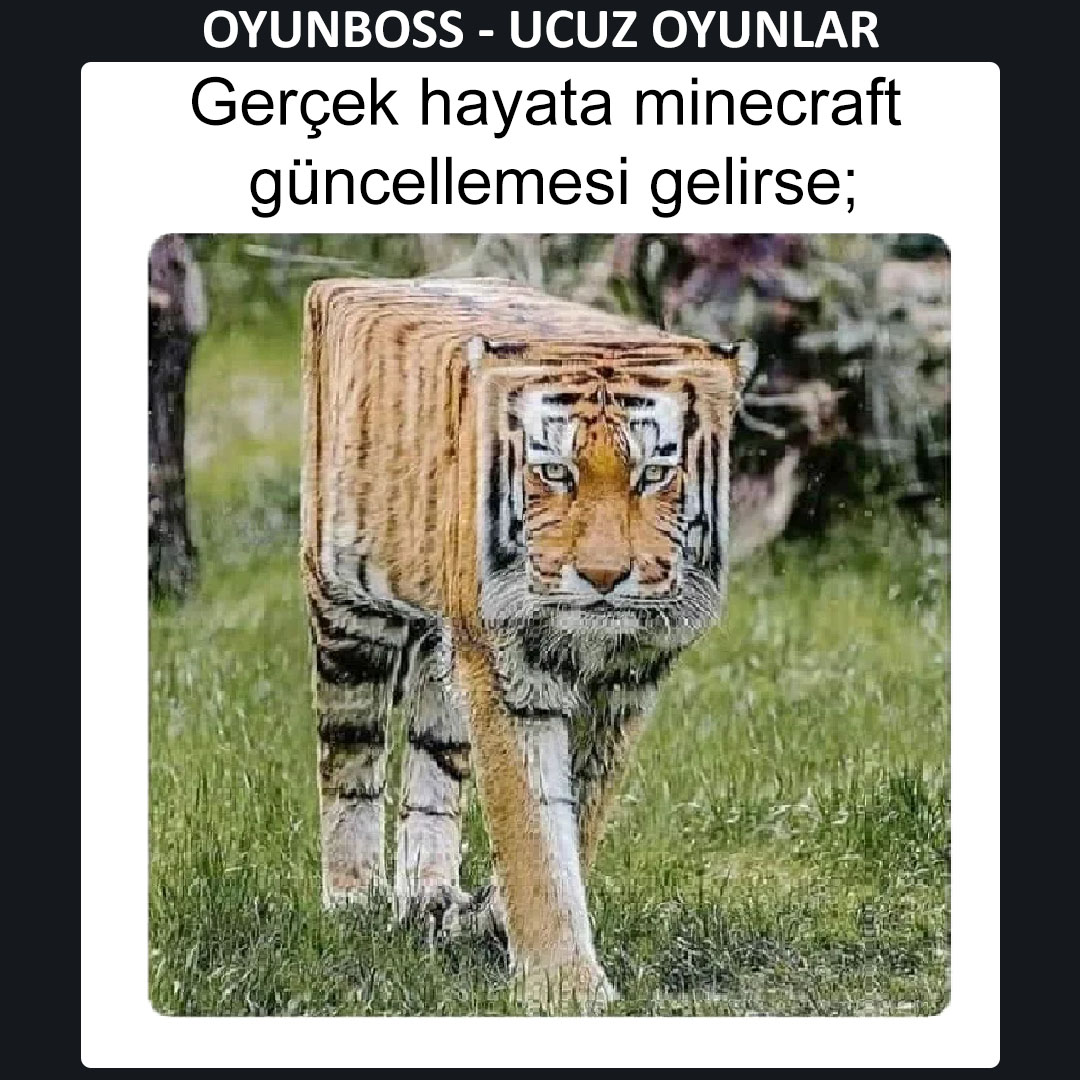 oyunbosscom's tweet photo. Saatlerce minecraft oynadıktan sonra dünya 😄😄
#minecraft #minecraftmemes #oyun #minecraftpremium #dünya #kare #oyunlar #güncelleme #dolar https://t.co/77K84BxKIY