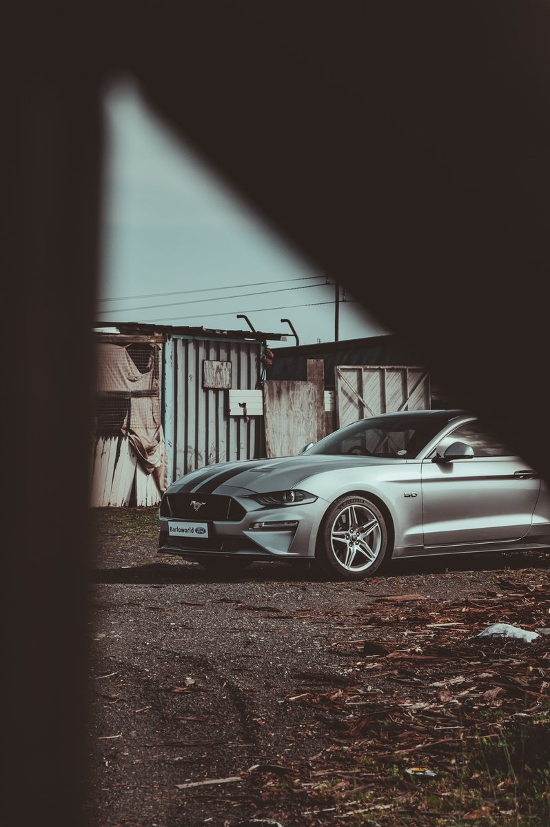 MONDAY - NEW WEEK - NEW ADVENTURES
<a href="/FordSouthAfrica/">Ford South Africa</a> 
#Ford #Mustang #MustangMonday #MuscleCarsOnly #AmericanMuscle