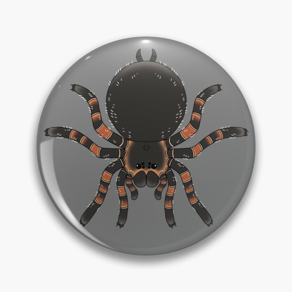 _seasicksquid's tweet photo. Ive made some Mexican Red Knee merch! For those with or wanting a red knee, we have so much from shirts to mugs to bags! please take a look, I'll be adding more tarantulas real soon
https://t.co/Q3HL8woJ6O
.
[#mexicanredknee #tarantulas #redkneetarantula #spiders #cutetarantulas] https://t.co/pvRPlFkrdL