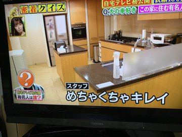 芝幸太郎の現在 韓国 再婚 ヨンアとの出会い 前妻 会社 自宅や資産 貴景勝 ガーシー Akb