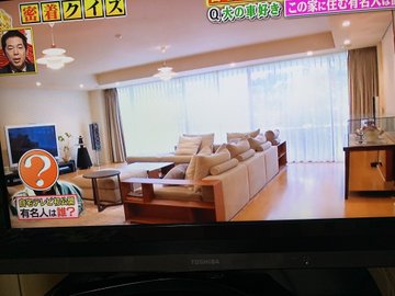 芝幸太郎の現在 韓国 再婚 ヨンアとの出会い 前妻 会社 自宅や資産 貴景勝 ガーシー Akb