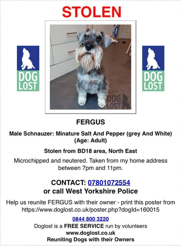 Missing Pets GB tweet media