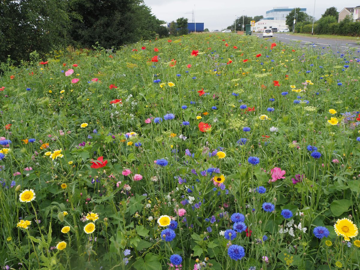 Euroflor4U's tweet photo. Sarah Bouquet 10th August https://t.co/zF2RLQGQ9e