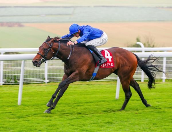 تحدونا تحدونا وياما هزمناهم هزمناهم كسرنا باسهم ولاقدرو يهزونا 
غياث وبيناتوبو عشق حد الجنون وخسارتهم والله انها تؤلمني لكن الكبار يعودون بقوه ❤️❤️❤️❤️