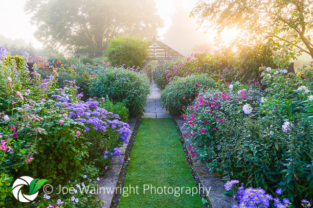Joe Wainwright tweet media