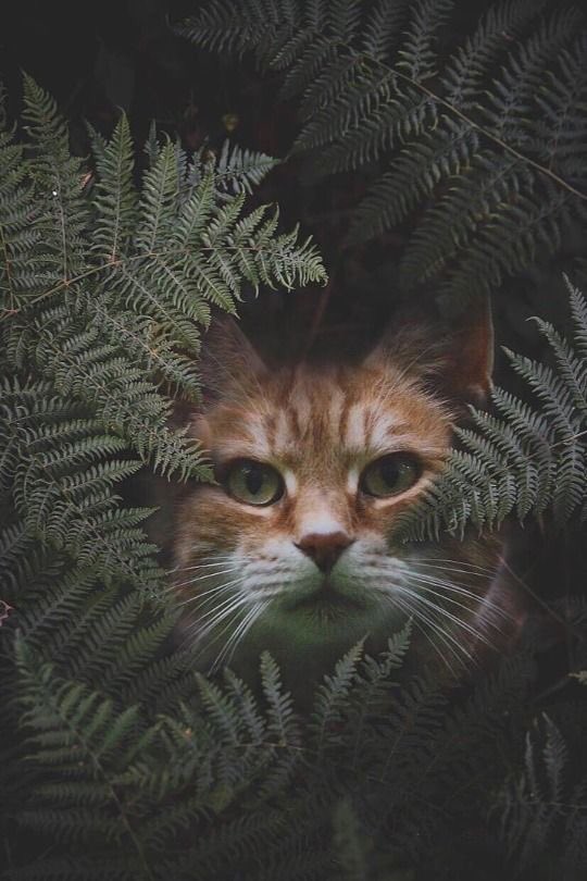 🌱