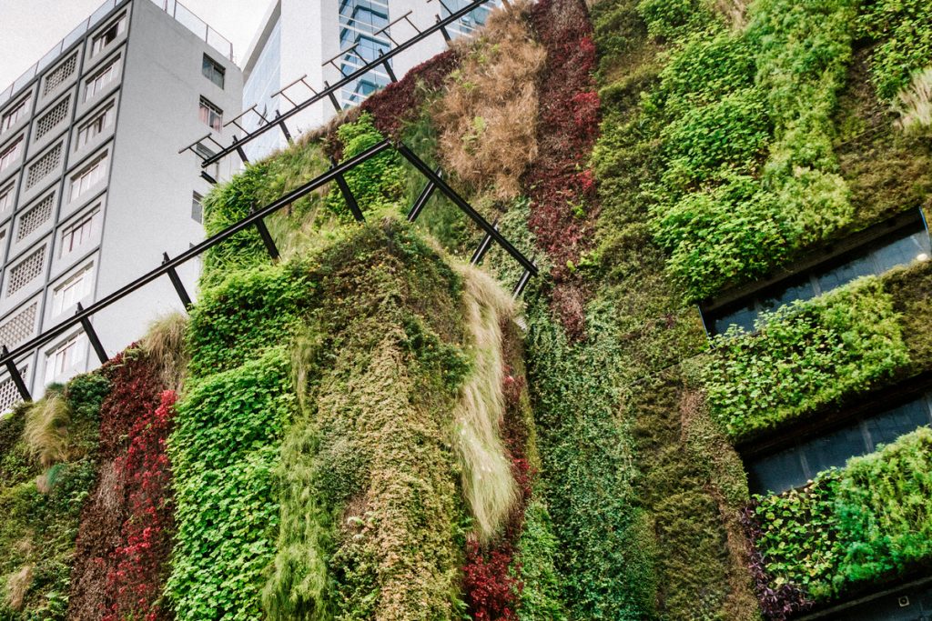 homeguide_'s tweet photo. Can #hotels and #tourism venues become greener through the right #interiordesign choices?: https://t.co/FdJR4FX2yH #hotelinterior #hotelstyle #interiordesignstyles #interiordesigntips #commercialinterior #interiordecor https://t.co/ClahPZNNqA