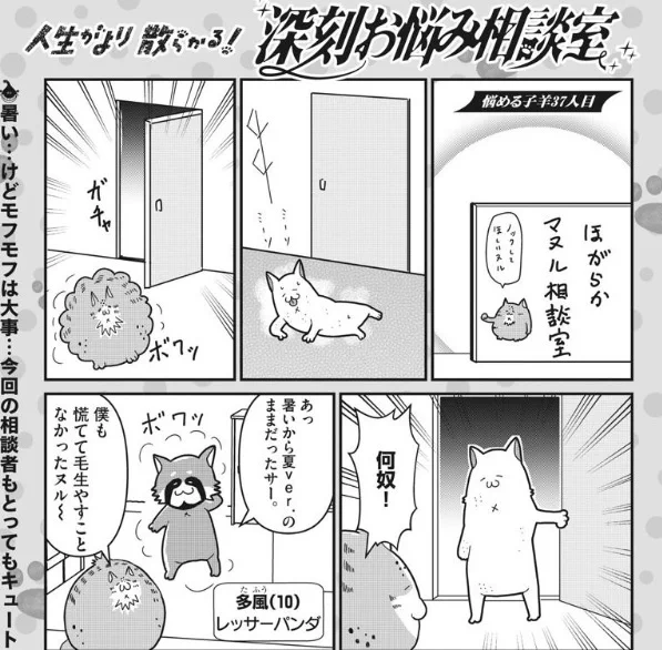 週刊スピリッツにて皆様のどうでも良い悩みにお答えする漫画コーナーを連載中です。お悩みの方は随時募集中、ハッシュタグで投稿だ #カレー沢深刻お悩み 