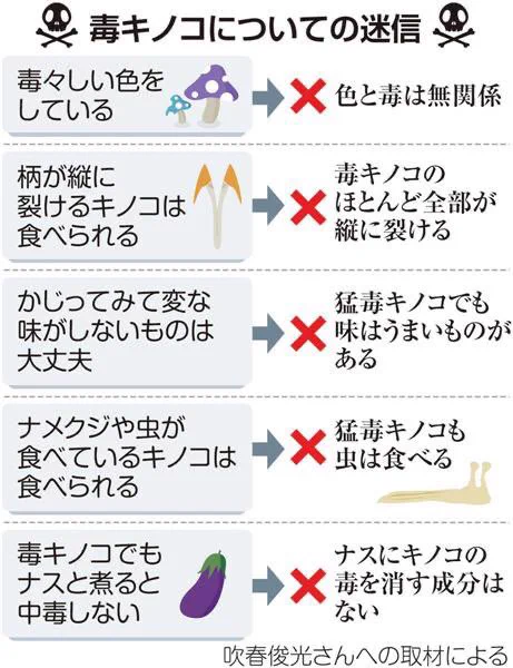 毒キノコの簡単な判別方法は？⇒残念ながら「そんなもの存在しない」！