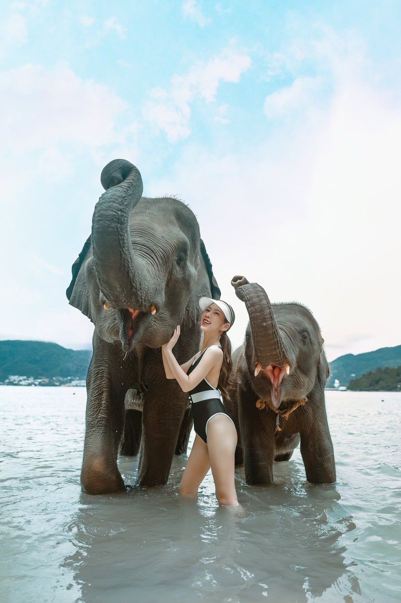 zanookzn's tweet photo. Lucky beach - ภูเก็ต มีให้เล่นน้ำกับช้างด้วย มีพี่ๆคอยดูแลตลอด น้องน่ารัก เชื่องมากก สั่งโพสท่าถ่ายรูปได้ จะจ้างช่างกล้องเพิ่มก็ได้ ค่าใช้จ่ายคนละ 500฿ ใครมาคนเดียวแต่อยากได้ช้างมาเข้าเฟรมเพิ่ม เสีย 300฿/ตัว https://t.co/Uxz9vtQuDt