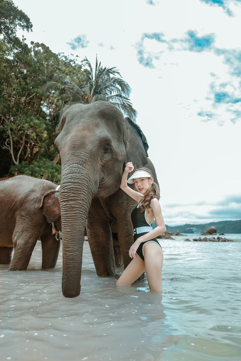Lucky beach - ภูเก็ต มีให้เล่นน้ำกับช้างด้วย มีพี่ๆคอยดูแลตลอด น้องน่ารัก เชื่องมากก สั่งโพสท่าถ่ายรูปได้ จะจ้างช่างกล้องเพิ่มก็ได้ ค่าใช้จ่ายคนละ 500฿ ใครมาคนเดียวแต่อยากได้ช้างมาเข้าเฟรมเพิ่ม เสีย 300฿/ตัว